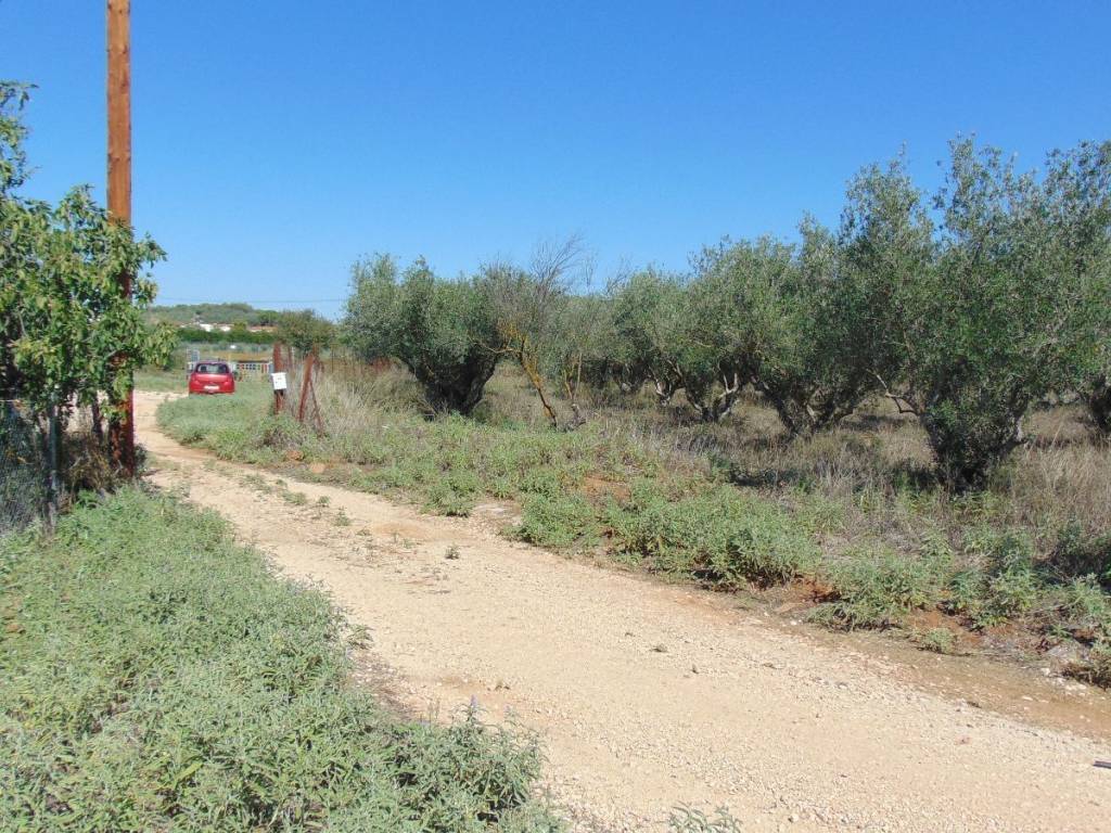 buildable plot, with a total area of 4,650 sq.m.