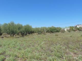 buildable plot, with a total area of 4,650 sq.m.