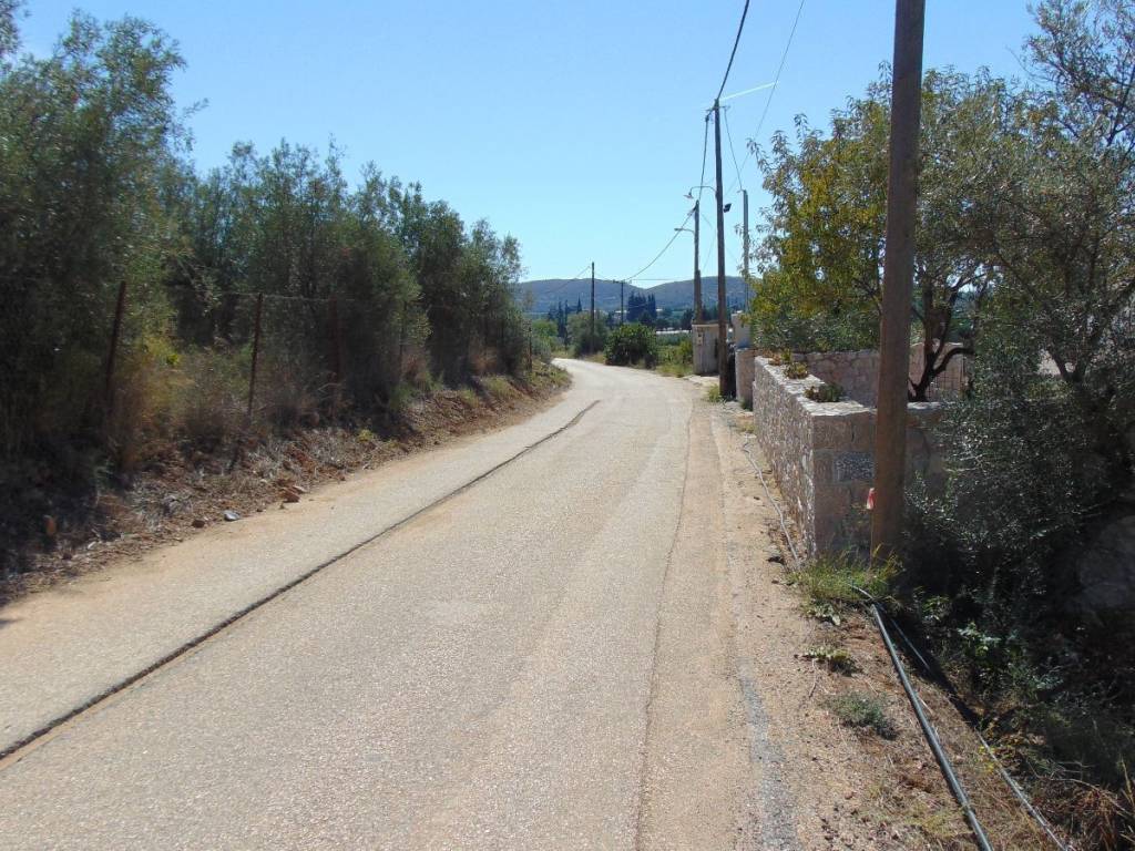 buildable plot, with a total area of 4,650 sq.m.