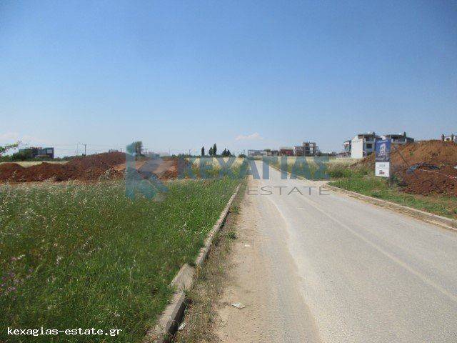 ΕΞΩΤΕΡΙΚΗ ΛΗΨΗ