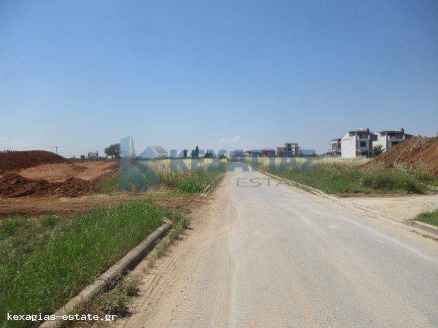 ΕΞΩΤΕΡΙΚΗ ΛΗΨΗ