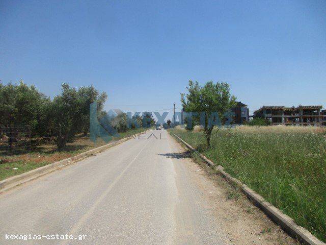 ΕΞΩΤΕΡΙΚΗ ΛΗΨΗ