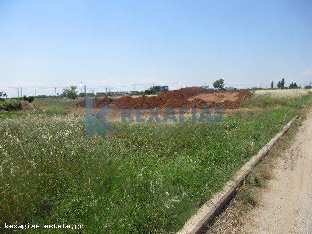 ΕΞΩΤΕΡΙΚΗ ΛΗΨΗ