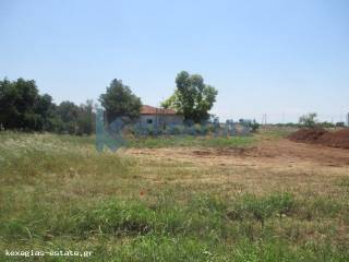 ΕΞΩΤΕΡΙΚΗ ΛΗΨΗ