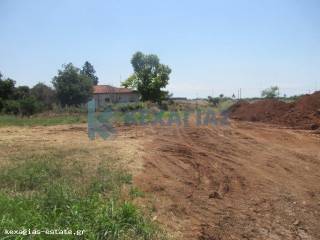 ΕΞΩΤΕΡΙΚΗ ΛΗΨΗ