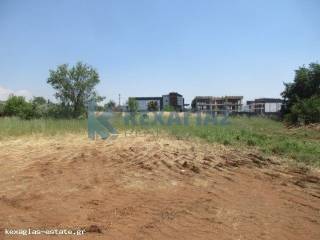 ΕΞΩΤΕΡΙΚΗ ΛΗΨΗ