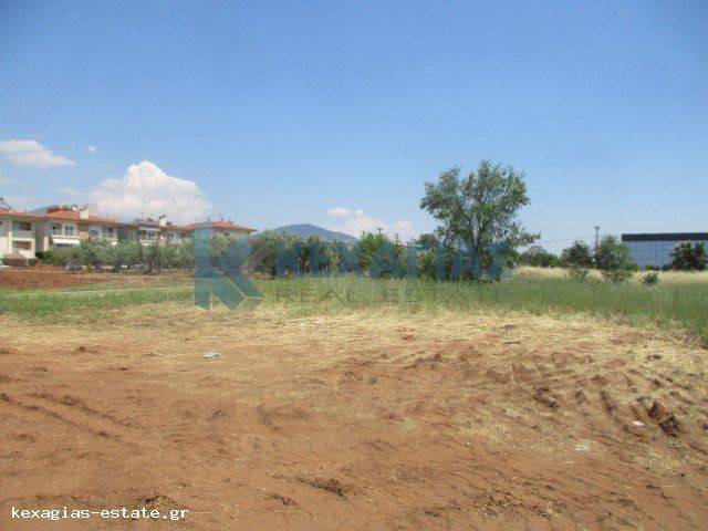 ΕΞΩΤΕΡΙΚΗ ΛΗΨΗ