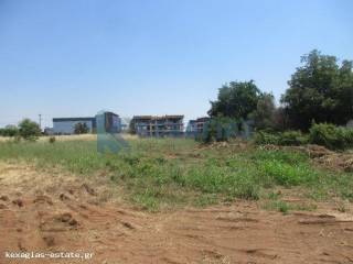 ΕΞΩΤΕΡΙΚΗ ΛΗΨΗ