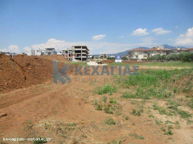 ΕΞΩΤΕΡΙΚΗ ΛΗΨΗ