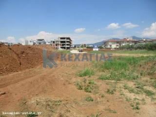 ΕΞΩΤΕΡΙΚΗ ΛΗΨΗ