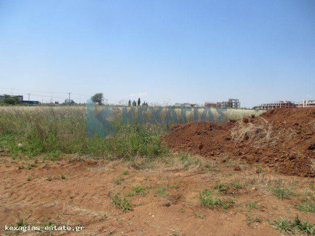 ΕΞΩΤΕΡΙΚΗ ΛΗΨΗ