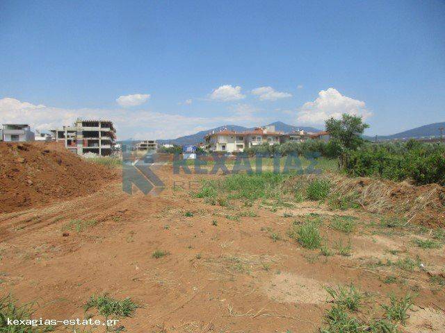 ΕΞΩΤΕΡΙΚΗ ΛΗΨΗ