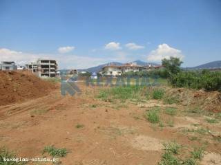 ΕΞΩΤΕΡΙΚΗ ΛΗΨΗ