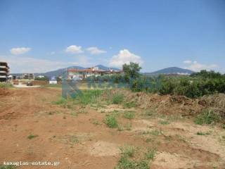 ΕΞΩΤΕΡΙΚΗ ΛΗΨΗ