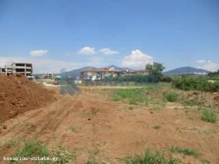 ΕΞΩΤΕΡΙΚΗ ΛΗΨΗ