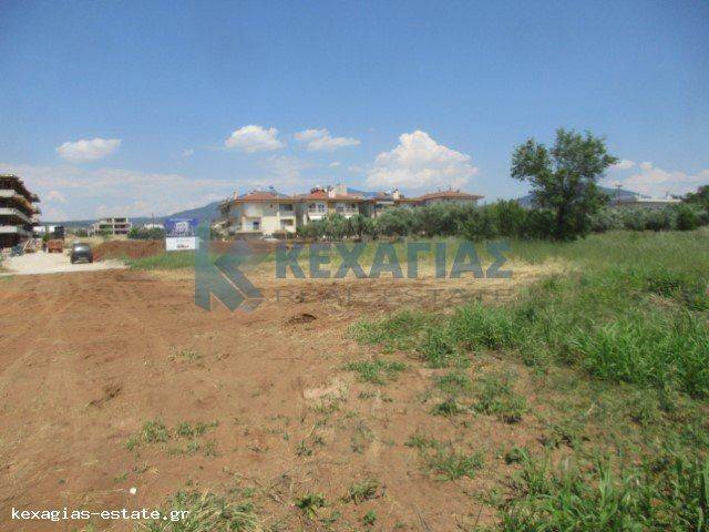 ΕΞΩΤΕΡΙΚΗ ΛΗΨΗ