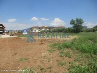 ΕΞΩΤΕΡΙΚΗ ΛΗΨΗ