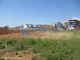 ΕΞΩΤΕΡΙΚΗ ΛΗΨΗ