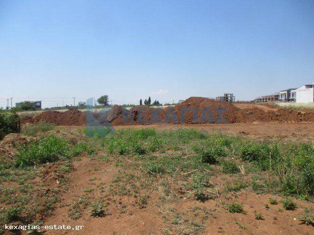 ΕΞΩΤΕΡΙΚΗ ΛΗΨΗ