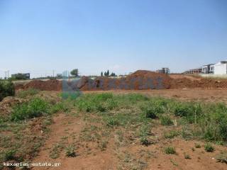 ΕΞΩΤΕΡΙΚΗ ΛΗΨΗ