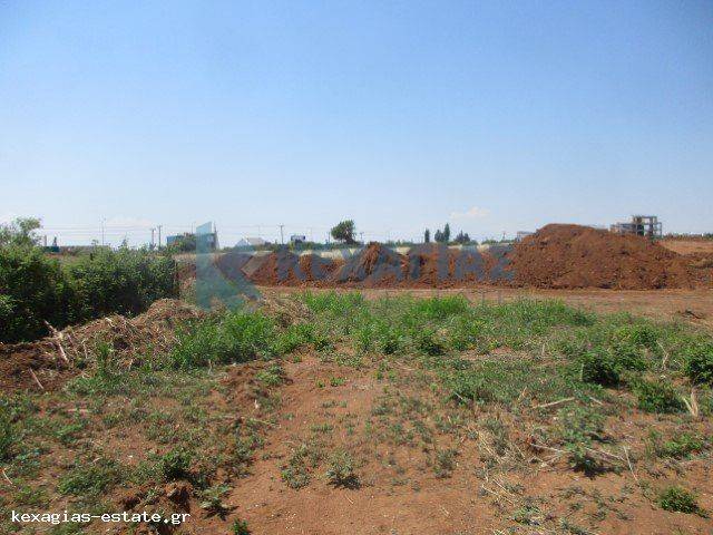 ΕΞΩΤΕΡΙΚΗ ΛΗΨΗ