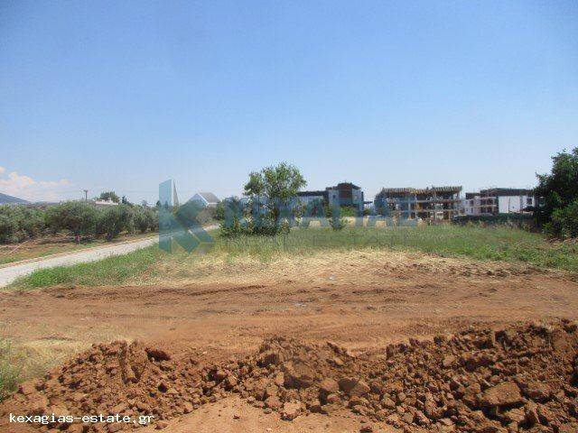 ΕΞΩΤΕΡΙΚΗ ΛΗΨΗ