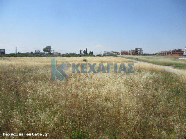 ΕΞΩΤΕΡΙΚΗ ΛΗΨΗ