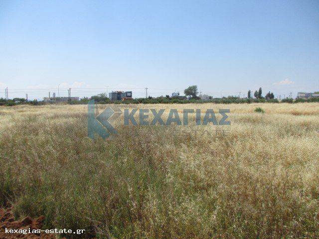 ΕΞΩΤΕΡΙΚΗ ΛΗΨΗ