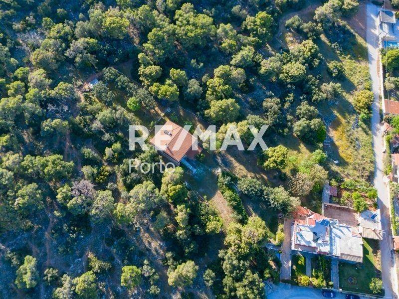 Ύπαρξη ανθρώπου