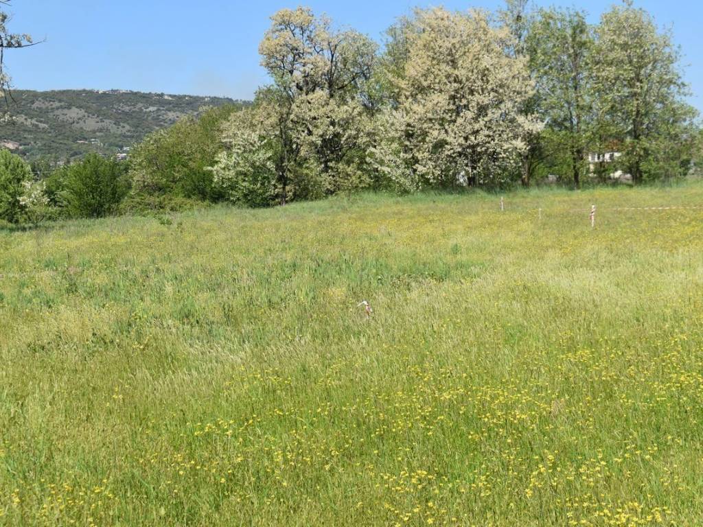 ΑΠΟΨΗ ΟΙΚΟΠΕΔΟΥ