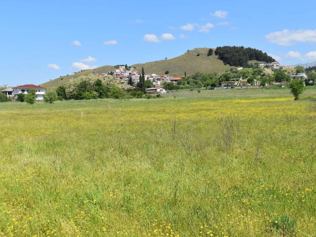 ΑΠΟΨΗ ΟΙΚΟΠΕΔΟΥ