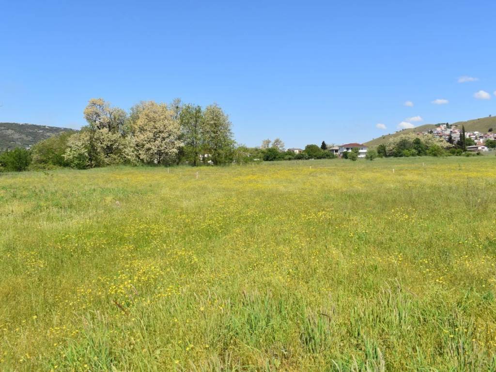 ΑΠΟΨΗ ΟΙΚΟΠΕΔΟΥ