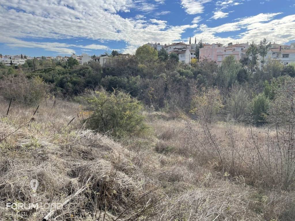 Forumland Real Estate, Αγροτεμάχιο 2400ΤΜ