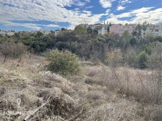 Forumland Real Estate, Αγροτεμάχιο 2400ΤΜ