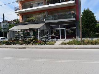 ΑΠΟΨΗ ΚΑΤΑΣΤΗΜΑΤΟΣ