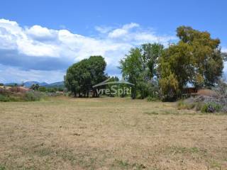 ΑΠΟΨΗ ΑΓΡΟΤΕΜΑΧΙΟΥ