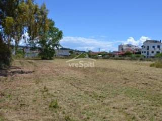 ΑΠΟΨΗ ΑΓΡΟΤΕΜΑΧΙΟΥ