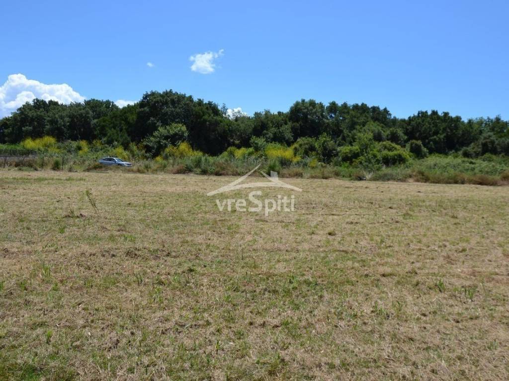 ΑΠΟΨΗ ΑΓΡΟΤΕΜΑΧΙΟΥ