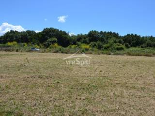 ΑΠΟΨΗ ΑΓΡΟΤΕΜΑΧΙΟΥ