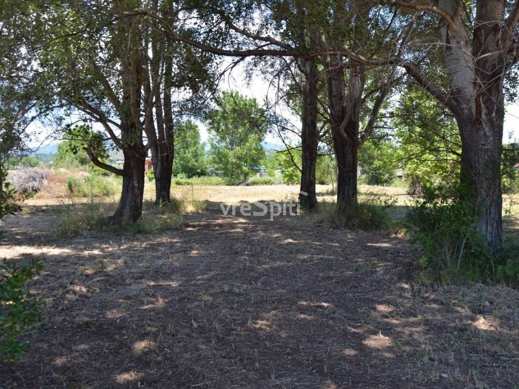 ΑΠΟΨΗ ΑΓΡΟΤΕΜΑΧΙΟΥ