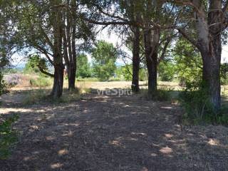 ΑΠΟΨΗ ΑΓΡΟΤΕΜΑΧΙΟΥ