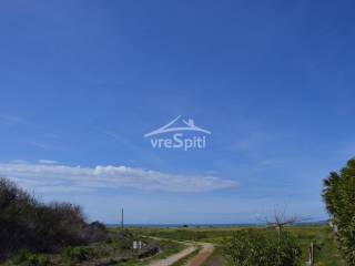 ΘΕΑ ΑΓΡΟΤΕΜΑΧΙΟΥ