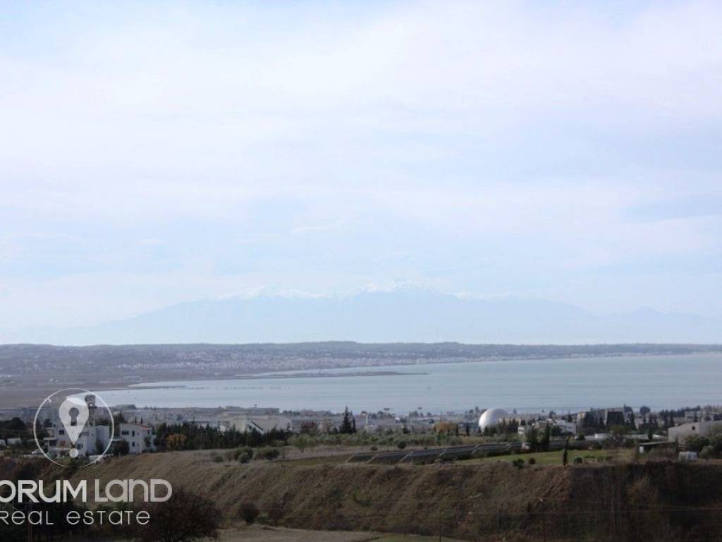 Forumland Real Estate, Αγροτεμάχιο