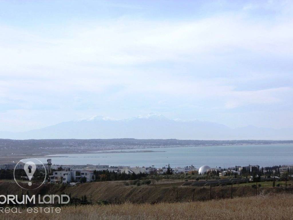 Forumland Real Estate, Αγροτεμάχιο