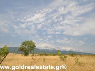 GOLD REAL ESTATE ΠΙΕΡΙΑΣ GREECE KATERINI