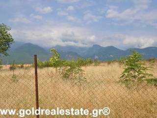 GOLD REAL ESTATE ΠΙΕΡΙΑΣ GREECE KATERINI