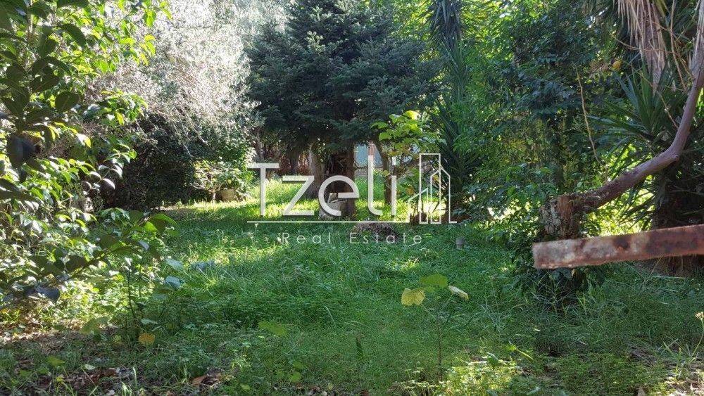 Άποψη οικοπέδου