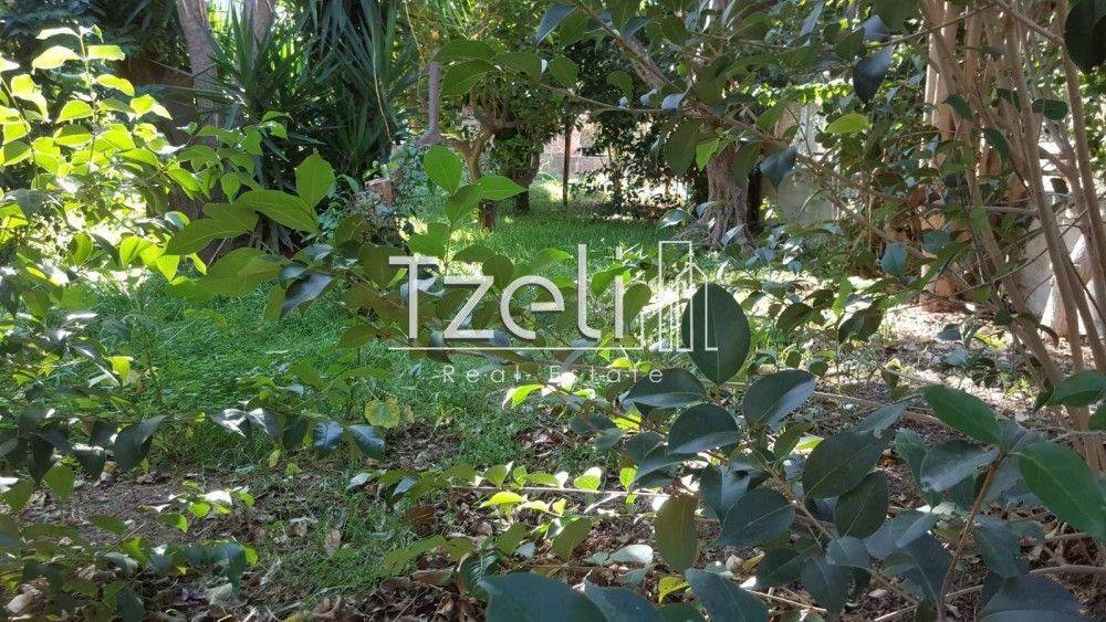 Άποψη οικοπέδου