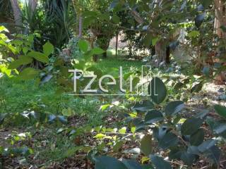 Άποψη οικοπέδου