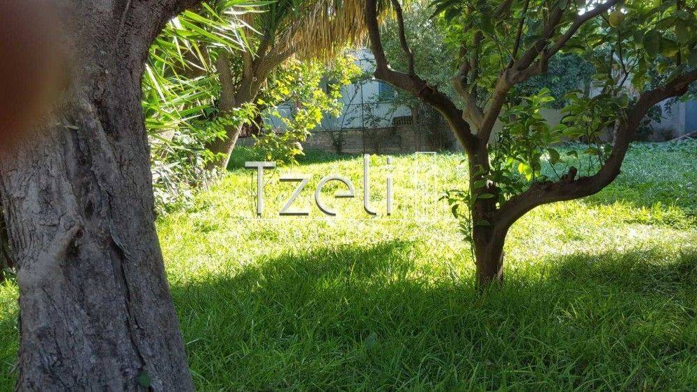 Άποψη οικοπέδου